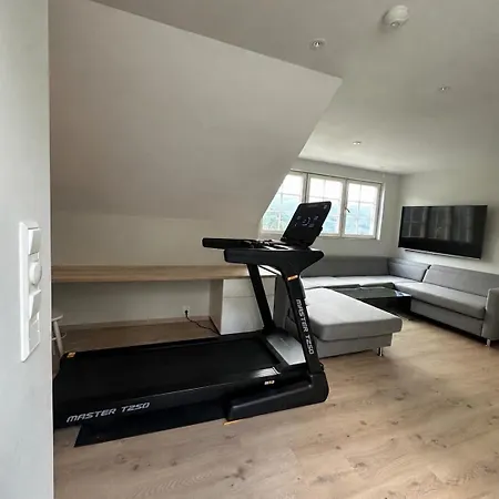Romslig Hus I